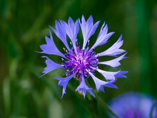 P5010451