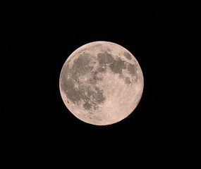 lastmoon731