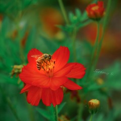 P1010336-2_