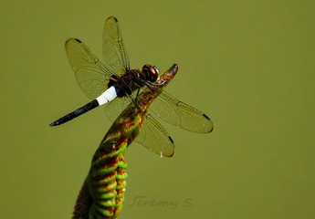 P1010237-2_