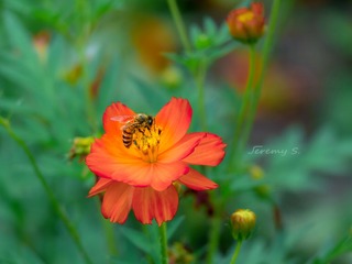 P1010336_