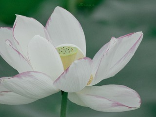 P1010667