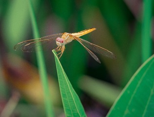 P1010717