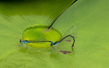 P1010641
