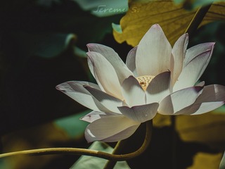 P1030070
