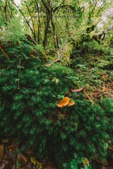 P1050580-2
