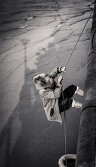 DSC01102b_