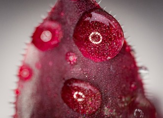 P1080456b_