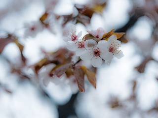 P1080663