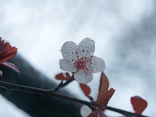 P1080671