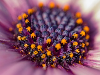 P1080965