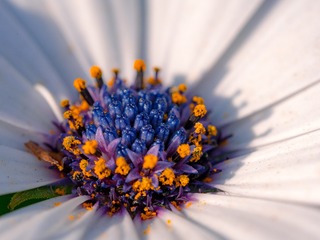 P1080956