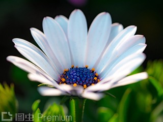 P1080981