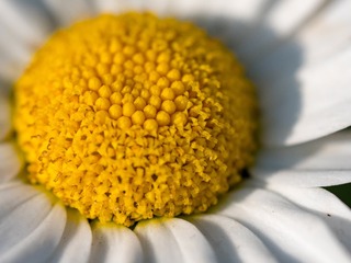 P1080983