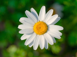 P1080982