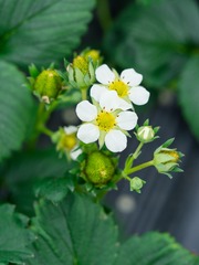P3030325