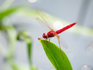 P7080123