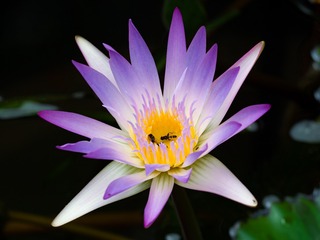 P7080117