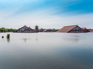 P5020542