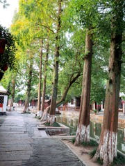 P1030186_1