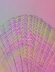 1000096898