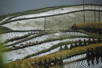 IMG_0345 (4)