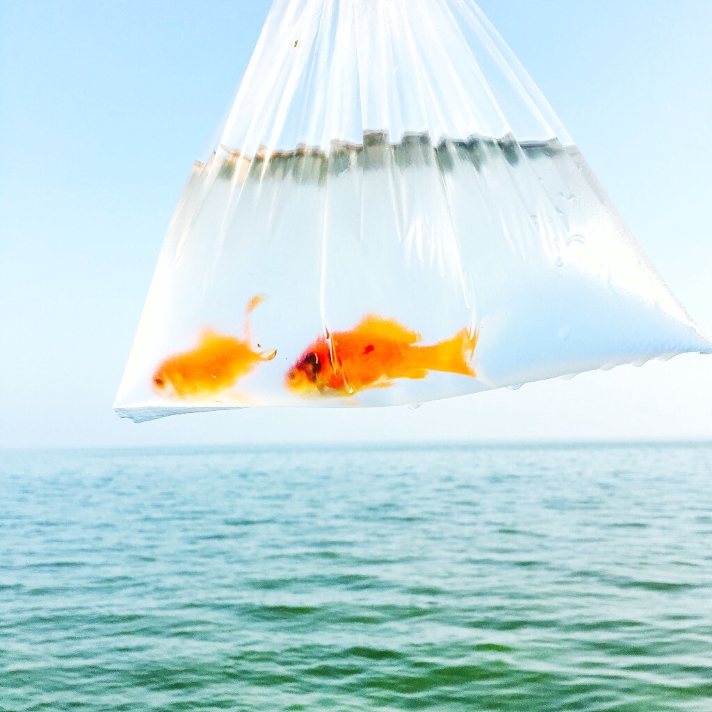 看得见的阳光  看得见的大海<br />
此时此刻我只想与你在这个小空间温存<br />
就算与全世界背离<br />
<br />
<br />
