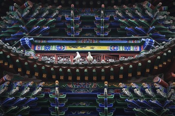 归巢