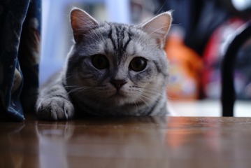 127127