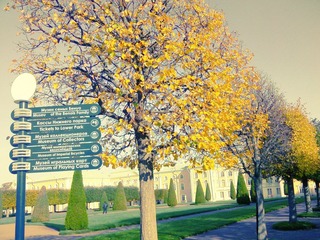 IMG01127.jpg