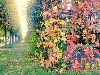 IMG01132.jpg