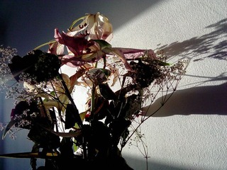 IMG01229.jpg
