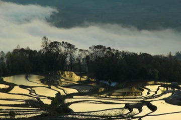 箐口梯田