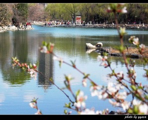 未名·春