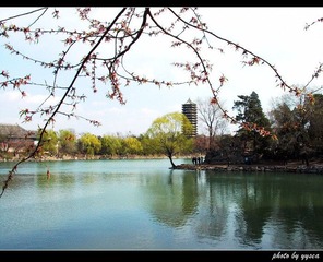 未名·春