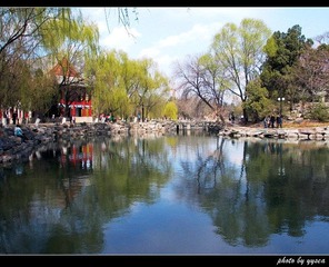 未名·春