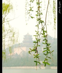 柳影佛香阁