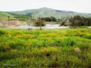 Wild Animal Park