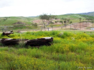 Wild Animal Park