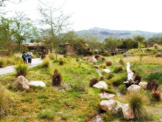 Wild Animal Park
