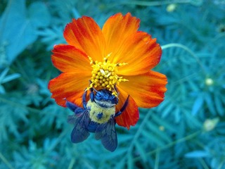 20110821146.jpg
