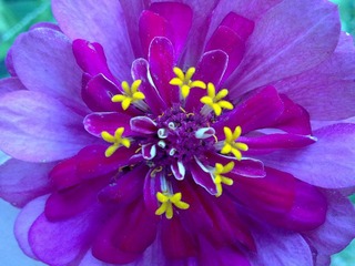 20110821156.jpg