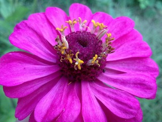 20110821162.jpg