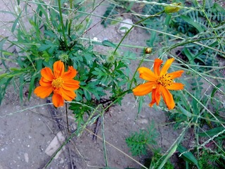 20110821163.jpg