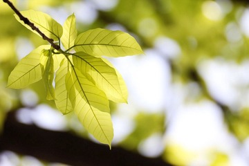 nEO_IMG_IMG_1799.jpg