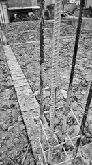 IMG20160728183824-01