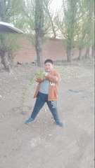 1667