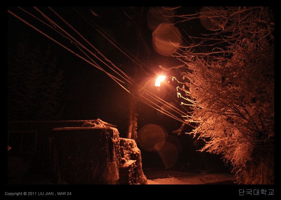 夜雪 (1)<br />
