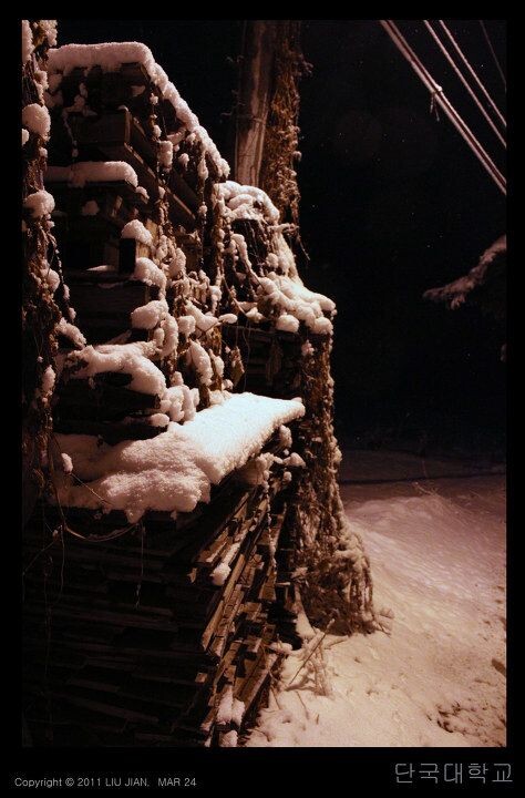 夜雪 (2)<br />
