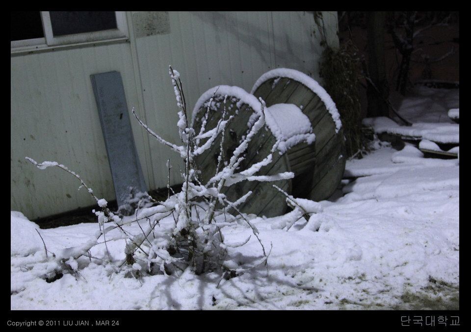 夜雪 (3)<br />
